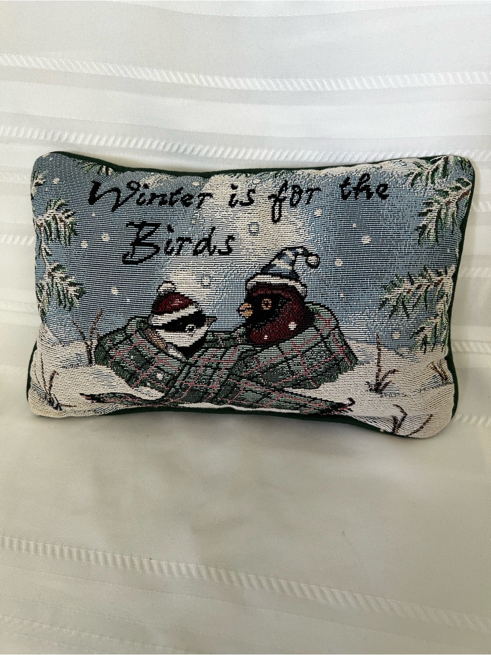Winter Is for the Birds Needlepoint Pillow Holiday Home Deocr Carsinals Red Blue